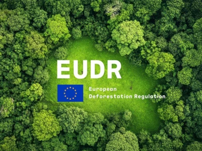 Analyse van de ontbossingsverordening van de EU